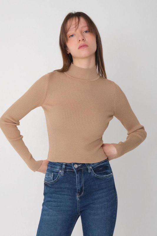 Mink Stand Collar Ribbed Sweater K10202-A13